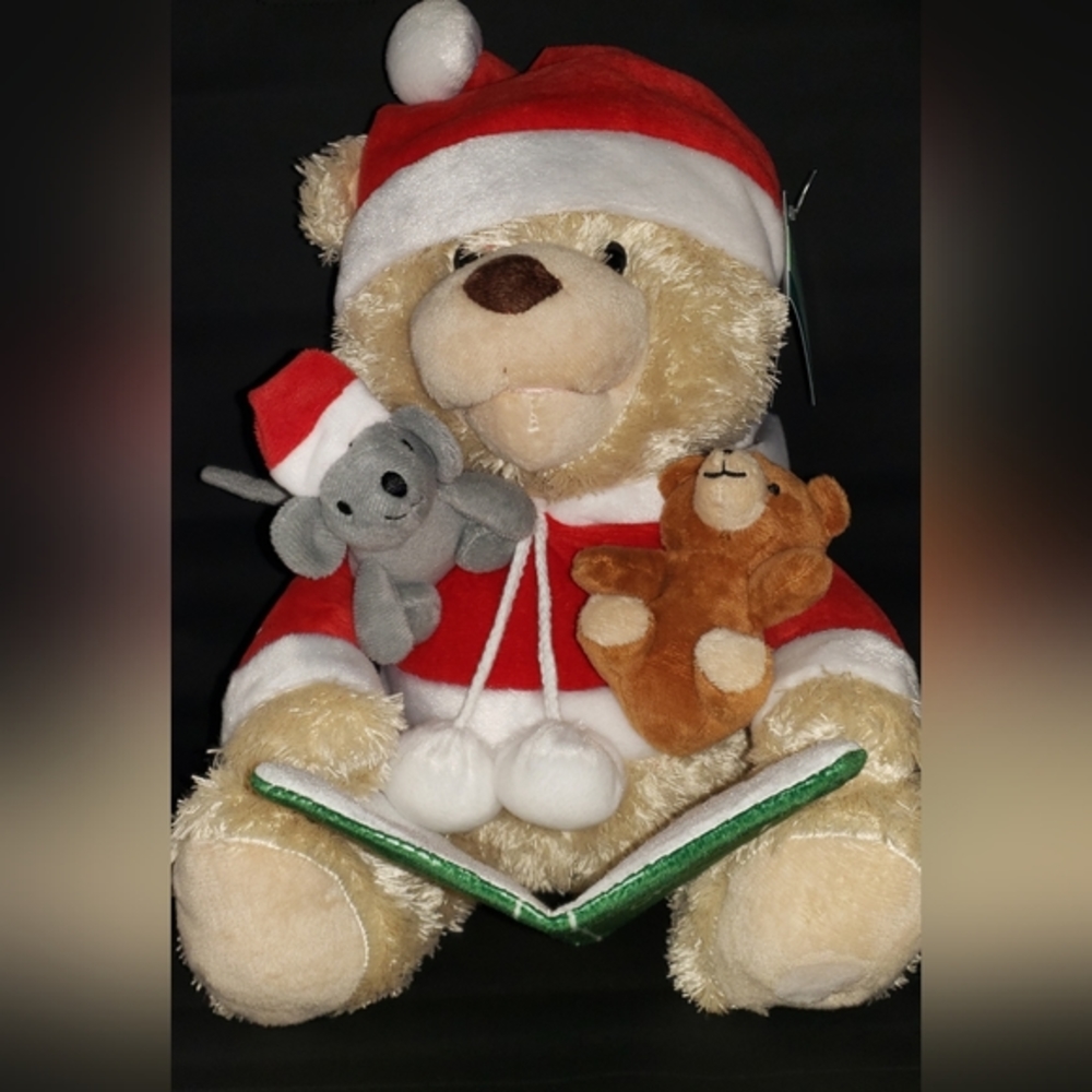Switch Adapted Santa Bear Toy for a Special Needs Child, Talks and moves,